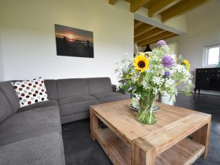Villa in Tzummarum near the Sea, cleaning included - Tzummarum - 1
