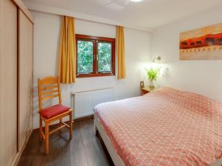 Chalet in Stegeren with Pool and Gardens, cleaning included - Hoogengraven - 8