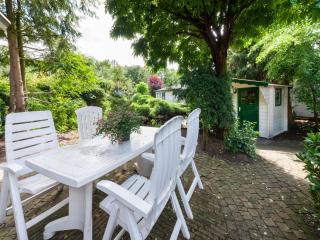 Chalet in Stegeren with Pool and Gardens, cleaning included - Hoogengraven - 7
