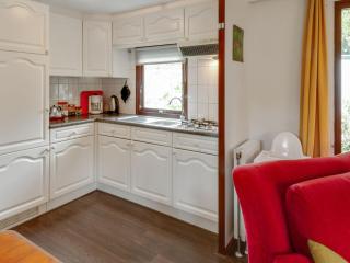 Chalet in Stegeren with Pool and Gardens, cleaning included - Hoogengraven - 4