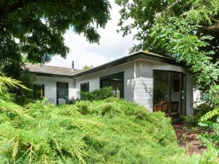Chalet in Stegeren with Pool and Gardens, cleaning included - Hoogengraven - 1