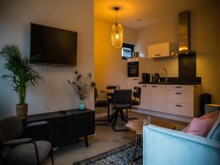Apartment in Vrouwenpolder near Beach, cleaning included - Vrouwenpolder - 4