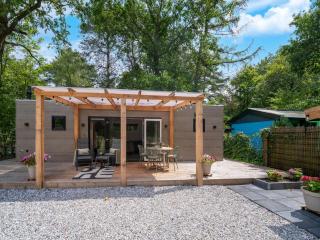Lodge in Hattemerbroek near Veluwe Forest, cleaning included - Hattemerbroek - 1