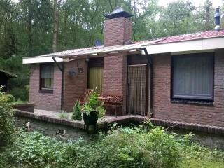 Holiday home in Zorgvlied with private garden, cleaning included - Zorgvlied - 9