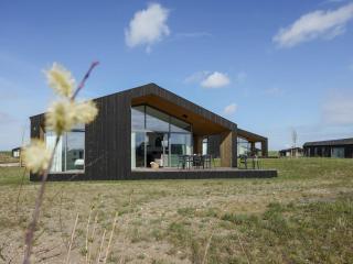 Majestic holiday home with garden, cleaning included - Wissenkerke - 4