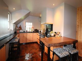 Villa in Ommen with Private Pond, cleaning included - Rheezerveen - 2