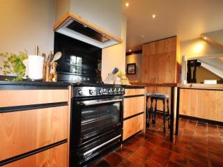 Villa in Ommen with Private Pond, cleaning included - Rheezerveen - 8