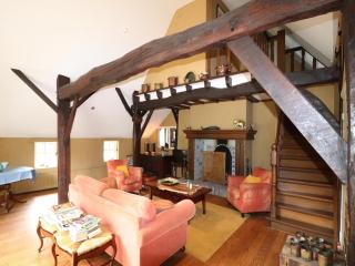Villa in Ommen with Private Pond, cleaning included - Rheezerveen - 9