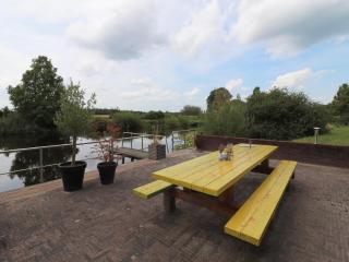 Villa in Ommen with Private Pond, cleaning included - Rheezerveen - 5
