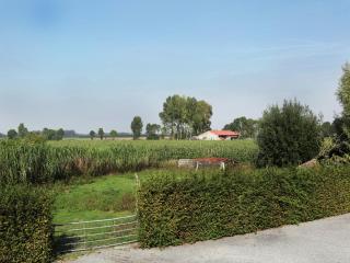 Comfortable flat overlooking orchards, cleaning included - Eede - 7