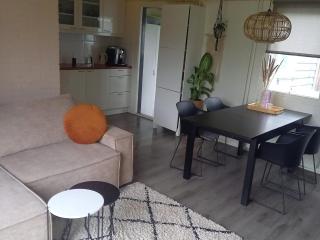 Holiday Home in Grou near Cycling Route, cleaning included - Grou - 3