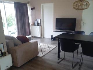 Holiday Home in Grou near Cycling Route, cleaning included - Grou - 2