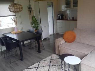 Holiday Home in Grou near Cycling Route, cleaning included - Grou - 1