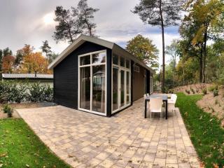 Chalet in Forest with Pool Access, cleaning included - Hoenderloo - 4