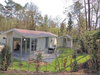 Chalet in Forest with Pool Access, cleaning included - Hoenderloo - 5