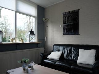 House near Giethoorn with boat rental, cleaning included - Giethoorn - 1