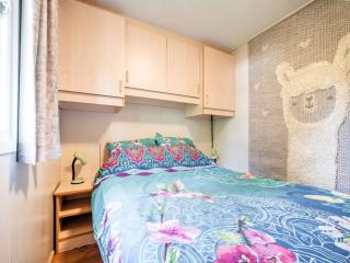 Chalet in Stegeren near Hiking Trails, cleaning included - Stegeren - 2
