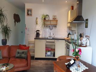 Holiday Home by Lake Veerse Meer, cleaning included - Kamperland - 3