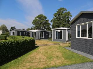 Chalet on the recreational lake and the Veluwe, cleaning included - Lathum - 3