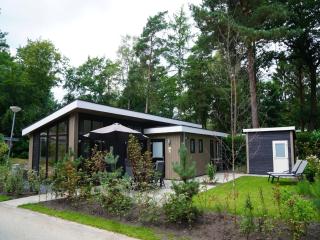 Chalet in Netherlands with Garden and Infrared Cabin, cleaning included - Hoenderloo - 9