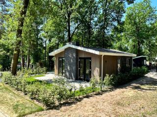 Holiday Home in Veluwe near Forest, cleaning included - Hoenderloo - 9