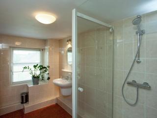 Holiday Home in Leende with terrace, cleaning included - Leende - 1