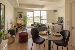 Large Luxurious Studio, Dublin18 - Dublino - 0
