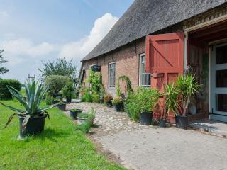 Characteristic head-neckhull farm with rowing boat, cleaning included - Burum - 5