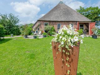 Characteristic head-neckhull farm with rowing boat, cleaning included - Burum - 6