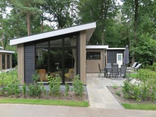Bungalow Retreat with Warm Fireplace, cleaning included - Hoenderloo - 4