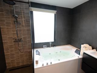 Wellness Bungalow with whirlpool and sauna, cleaning included - Zevenhuizen - 4
