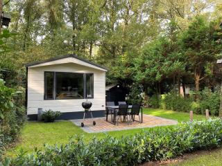 chalet in the woods with pool, cleaning included - Vledder - 8