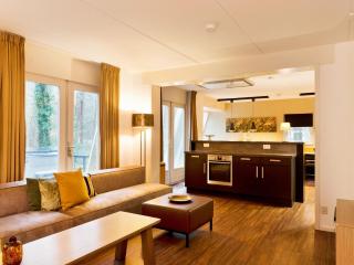 Comfortable family and friends house with wellness, cleaning included - Vlagtwedde - 1