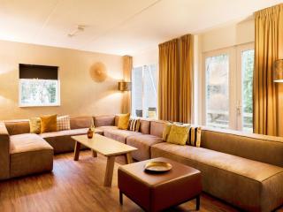 Comfortable family and friends house with wellness, cleaning included - Vlagtwedde - 0