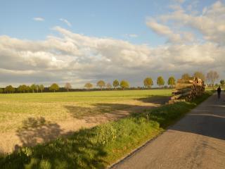 Farmhouse in Nederweert near Canal Trails, cleaning included - Nederweert-Eind - 3