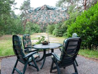 Holiday Home in Beerze Overijssel with Lush Garden, cleaning included - Beerze - 5