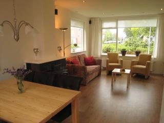 Tranquil holiday home in West Gradijk, cleaning included - West-Graftdijk - 4