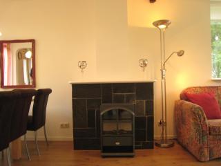 Tranquil holiday home in West Gradijk, cleaning included - West-Graftdijk - 3