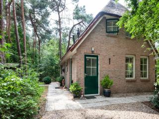 Holiday Home in Beerze Overijssel with Lush Garden, cleaning included - Beerze - 6