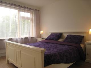 Tranquil holiday home in West Gradijk, cleaning included - West-Graftdijk - 1