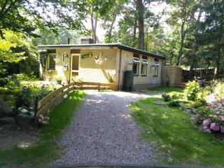 Holiday Home in Arriën near Beerze Nature, cleaning included - Ommen - 5