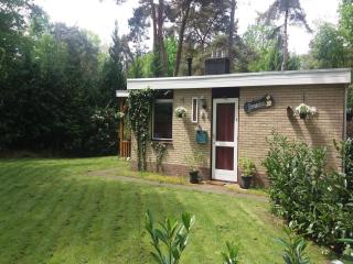 Poolside Retreat Close to Ommen Forest, cleaning included - Ommen - 2
