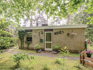 Poolside Retreat Close to Ommen Forest, cleaning included - Ommen - 1