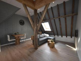 Apartment in North Holland near Beach, cleaning included - Callantsoog - 3