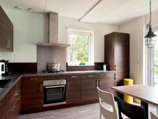 Luxury home with sauna, outdoor SPA and boat, cleaning included - Earnewâld - 7