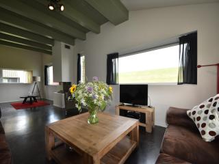 Tranquil Villa by the Wadden Sea, cleaning included - Tzummarum - 1