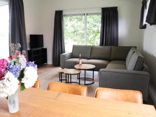 Spacious chalet in a rural location near Giethoorn, cleaning included - Blesdijke - 8