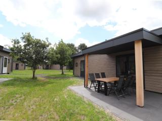 Spacious chalet in a rural location near Giethoorn, cleaning included - Blesdijke - 4