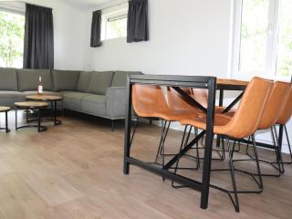 Spacious chalet in a rural location near Giethoorn, cleaning included - Blesdijke - 1