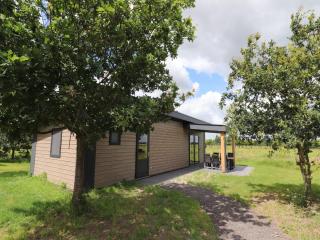 Spacious chalet in a rural location near Giethoorn, cleaning included - Blesdijke - 9